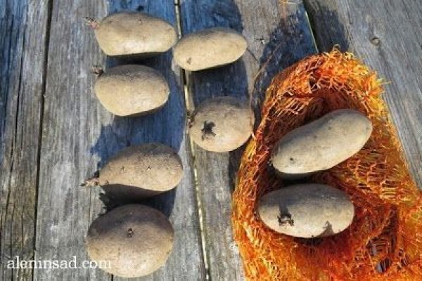 Kraken официальная ссылка