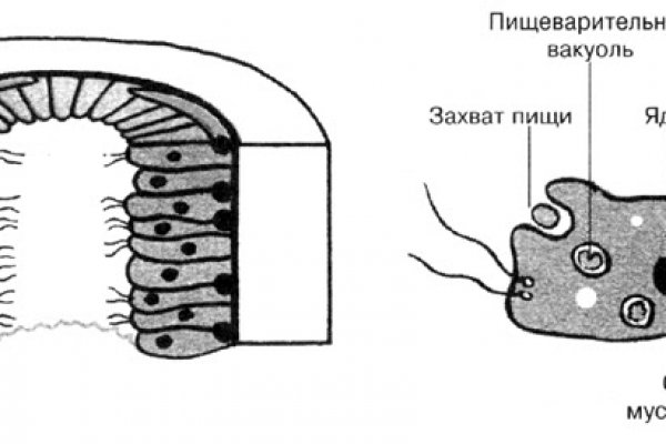 Адрес кракен в тор