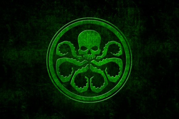 Kraken 12 at